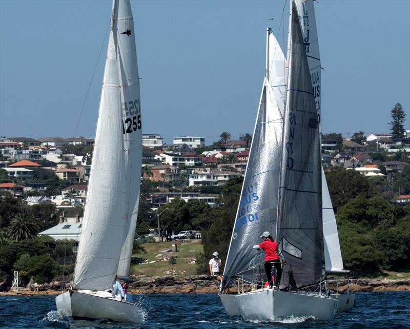 Helly Hansen MYC Women's Challenge photo copyright Margaret Fraser-Martin taken at Manly Yacht Club and featuring the J/24 class