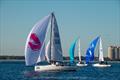 Davis Island J/70 Winter Series © Christopher Howell