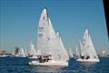 Davis Island J/70 Winter Series © Christopher Howell