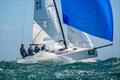 Steve Proud's Swish sits in third overall - 2025 J/70 Australian Championship © Alex Dare, Down Under Sail