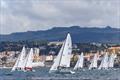 2025 Cascais J/70 Summer Cup - Day 3 © Neuza Aires Pereira / Clube Naval de Cascais