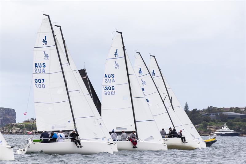 Sydney Harbour Regatta 2020 - J70 start - photo © Andrea Francolini