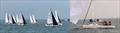 J/80 East Coast Championship 2023 © J-Boats