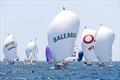 Coup de Vent wins German J/80 Cup © Deutscher Touring Yacht Club