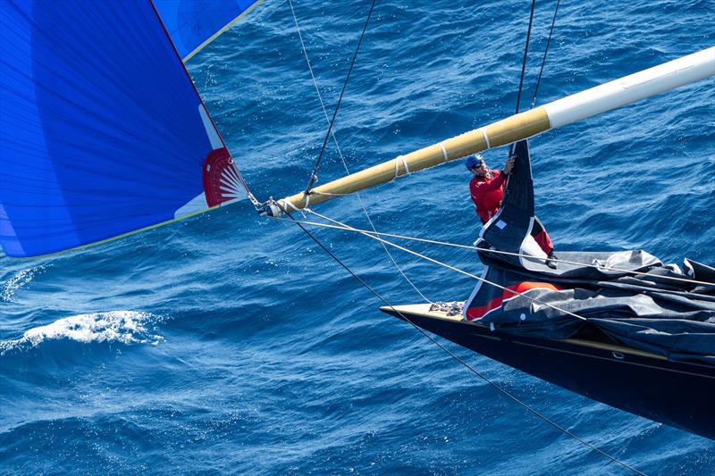 J Class World Championship - October 8, 2024 - Barcelona - photo © Ian Roman / America's Cup