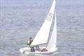Day 1 of the Kestrel Scottish Championship at Royal Tay YC © Ed Thomson