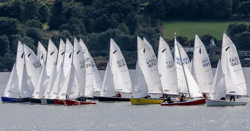 Kestrel National Championship at Royal Tay - photo © Tich Summers