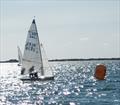 Craftinsure Lark Class Masters Championship at Itchenor © Andrew Penman