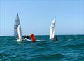 Craftinsure Lark Open at Rock © Roger Deane & Huw Willetts