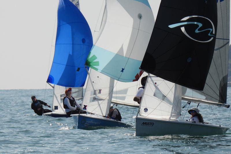 Musto Lark National Championship at Brixham day 1 photo copyright Will Loy taken at Brixham Yacht Club and featuring the Lark class