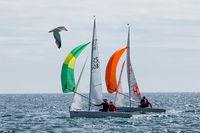 Musto Lark National Championships at Weymouth day 4 photo copyright Robert Deaves / www.robertdeaves.uk taken at Weymouth Sailing Club and featuring the Lark class