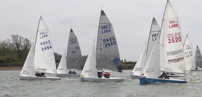 Larks at the Waldringfield Easter Egg 2025 photo copyright Alexis Smith taken at Waldringfield Sailing Club and featuring the Lark class