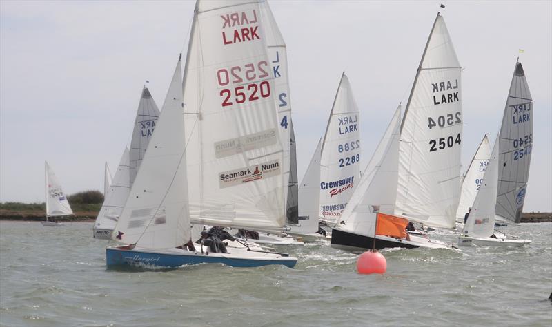 Larks at the Waldringfield Easter Egg 2025 photo copyright Alexis Smith taken at Waldringfield Sailing Club and featuring the Lark class