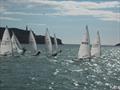 Lasers racing in Baltimore Harbour during the Laser Munster Championships © BSC