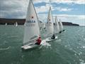 Lasers racing in Baltimore Harbour during the Laser Munster Championships © BSC