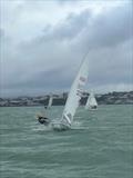 Christmas Cracker Pursuit Race at Paignton Sailing Club © Sam Brown