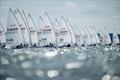 The Sailing Grand Slam attracts the athletes of the Olympic classes to Kiel, like the ILCA7 © Sascha Klahn
