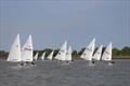 ILCA Eastern GP Open at Waldringfield © Alexis Smith