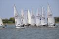 ILCA Eastern GP Open at Waldringfield © Alexis Smith