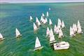 Start line - Laserfest 2025 at Whitstable © Ayhan Betez