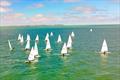 Laserfest 2025 at Whitstable © Ayhan Betez