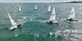 Race 6 during Laserfest 2026 at Whitstable Yacht Club &copy; Eyesky