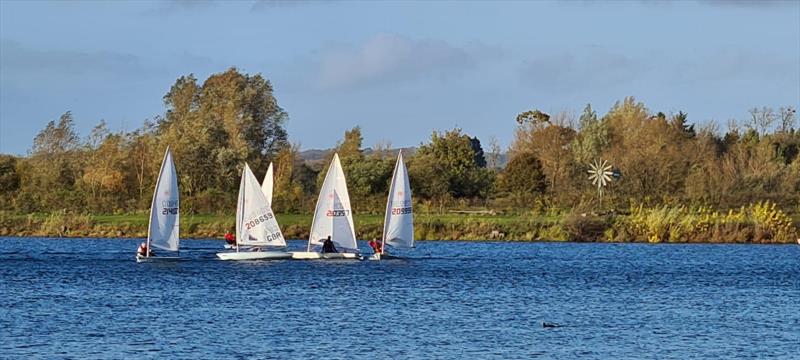 Maidenhead Laser Championship - photo © Gary Bullock