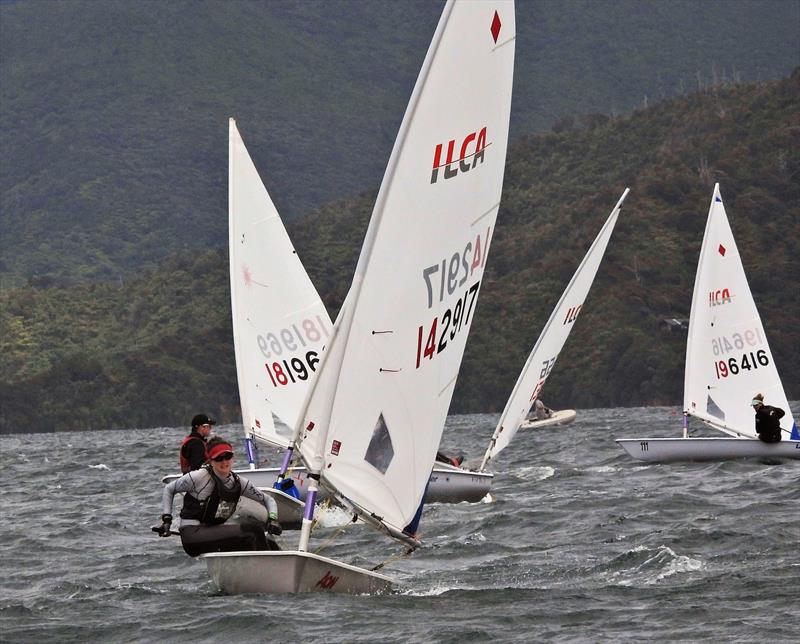 NZ ILCA National Championships - Day 1, Queen Charlotte Yacht Club, Picton - photo © Christel Hopkins