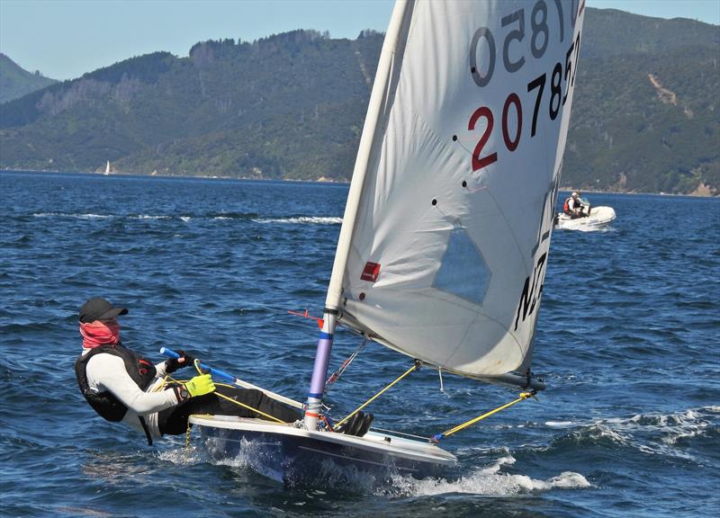 NZ ILCA National Championships - Day 3, Queen Charlotte Yacht Club, Picton - photo © Christel Hopkins