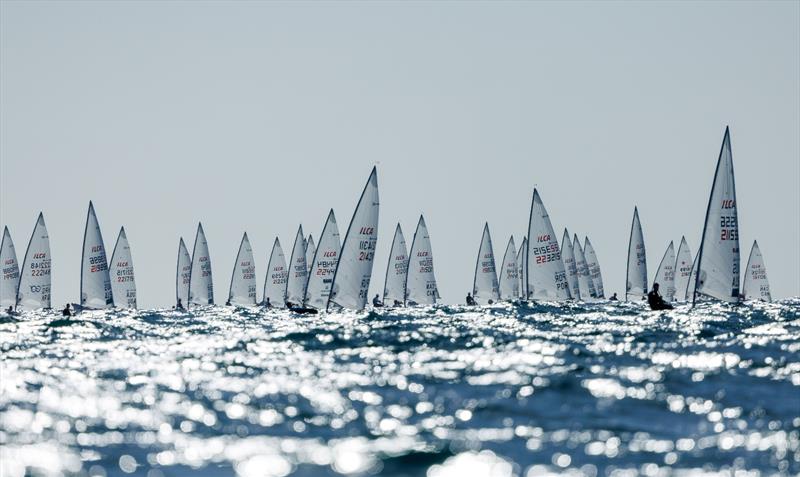 2024 ILCA 7 Men World Championship - photo © Jack Fletcher / Down Under Sail