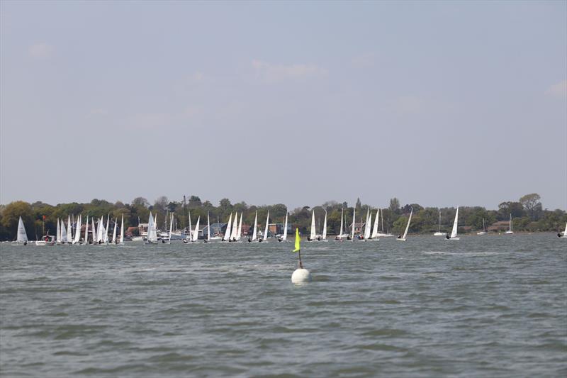 ILCA Eastern GP Open at Waldringfield photo copyright Alexis Smith taken at Waldringfield Sailing Club and featuring the ILCA 7 class