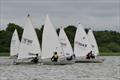 Race start during the Annandale Sailing Club 70th Anniversary Regatta &copy; Ally Brown