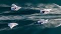 © Prow Media 2023 ILCA U-21 Sailing World Championships at Tangier, Morocco Day 5 © Prow Media