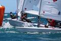 Bottom mark - ILCA (Laser) NZ National Championship - Napier - January 2023 © Richard Beauchamp