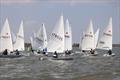 ILCA Eastern GP Open at Waldringfield © Alexis Smith