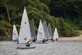 Salcombe Town Regatta Dinghy Racing 2025 © Lucy Burn