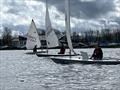 Whitefriars SC ILCA Open &copy; Richard Trevithick