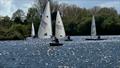 ILCA Open at Spinnaker Sailing Club &copy; Dileck Grant