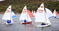 Manly Juniors at Manly 16ft Skiff Sailing Club © SailMedia