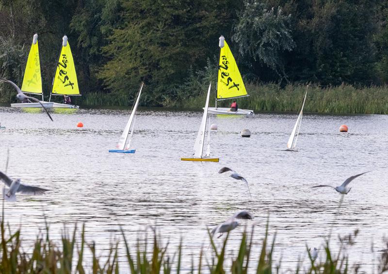 RM Ranking 5 at Norwich Model Yacht Club photo copyright Liz Fiddy taken at Norwich Model Yacht Club and featuring the Marblehead class