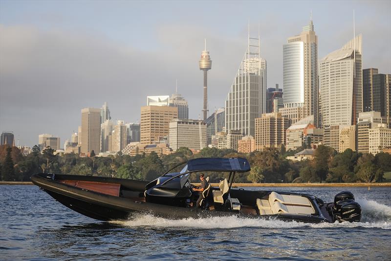 Ribco Australia Venom 44 photo copyright Salty Dingo taken at  and featuring the Marine Industry class