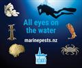 Boaties need to be aware of the marine pests in NZ waters and report any sighting © Marine Biosecurity