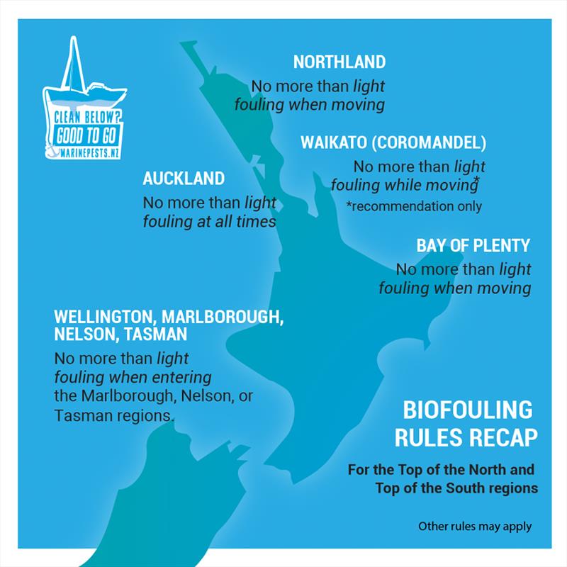 Marine growth fouling rules are simply explained in this guide - photo © Marine Pests NZ