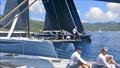 Tight start between the trio of maxi cats at the BVI Spring Regatta & Sailing Festival © Helena Darvelid / Allegra