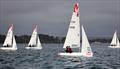 Clash of the Coaches at the WPNSA - Upwind © Mark Jardine