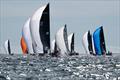 2025 US Melges 24 National Championship &copy; Anna Suslova / US Melges 24 Class Association
