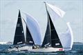 2025 US Melges 24 National Championship &copy; Anna Suslova / US Melges 24 Class Association