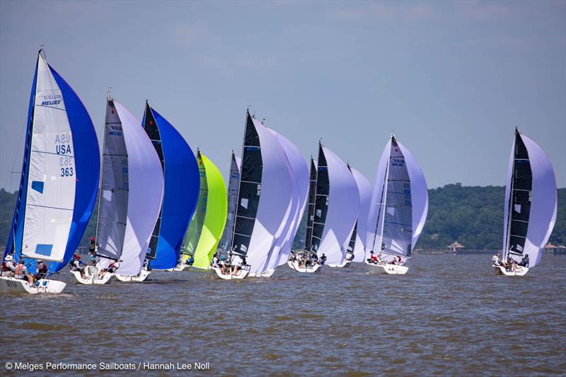 2019 Melges 24 U.S. National Championship - Day 2 - photo © Hannah Lee Noll