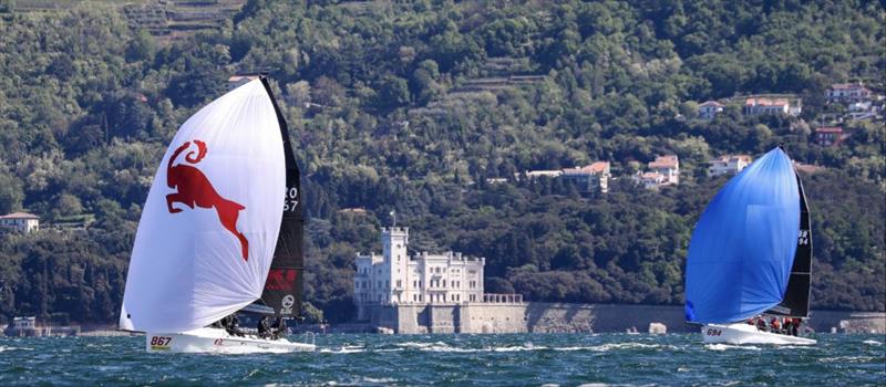 The Melges 24s racing in front of the Miramare Castle (Castello di Miramare) - photo © YCA | Giovanni Tesei