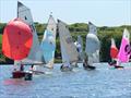 Race 1 leaders during the Vintage Merlin Open at Fishers Green © Angie Meyer